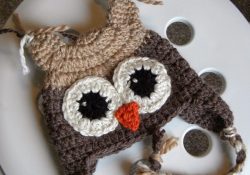 Crochet Owl Hat Pattern Knotty Knotty Crochet Hoot Hoot Owl Hat Free Pattern