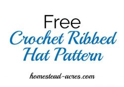 Crochet Ribbed Hat Pattern Crochet Ribbed Hat Pattern Crochet Pinterest Crochet Crochet